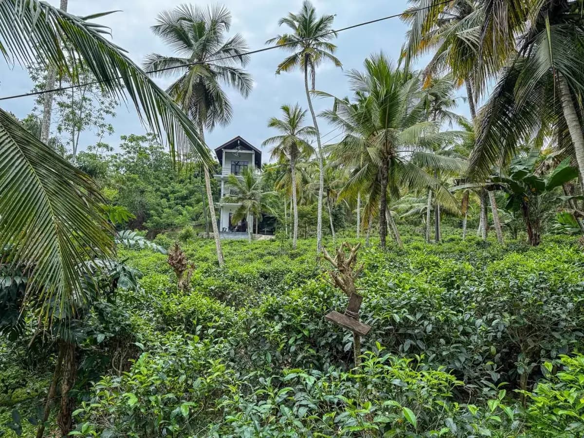 Accommodation photo 7